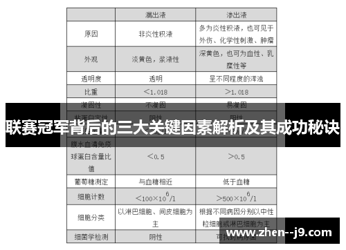 联赛冠军背后的三大关键因素解析及其成功秘诀