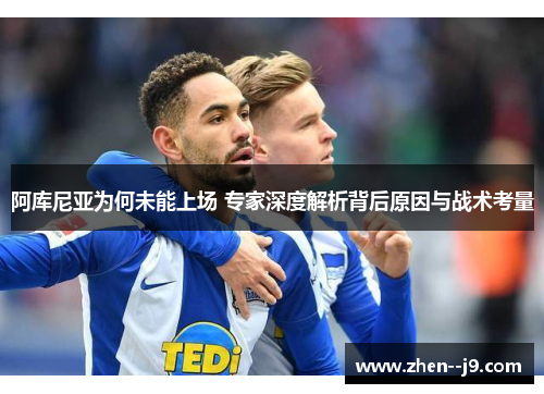 阿库尼亚为何未能上场 专家深度解析背后原因与战术考量