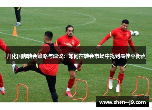 归化国脚转会策略与建议：如何在转会市场中找到最佳平衡点